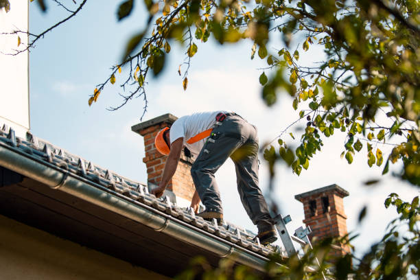 Roof Coating Services in Linton Hall, VA